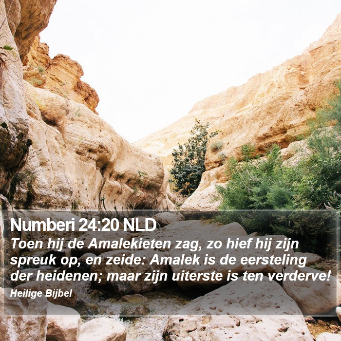 Numberi 24:20 NLD Bible Study