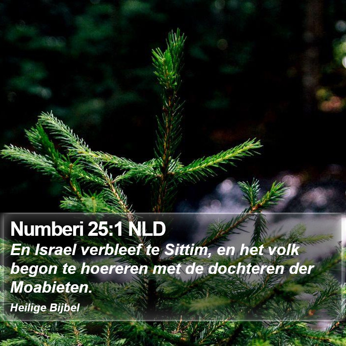 Numberi 25:1 NLD Bible Study