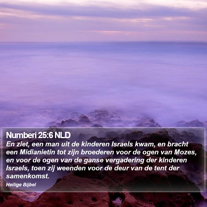 Numberi 25:6 NLD Bible Study