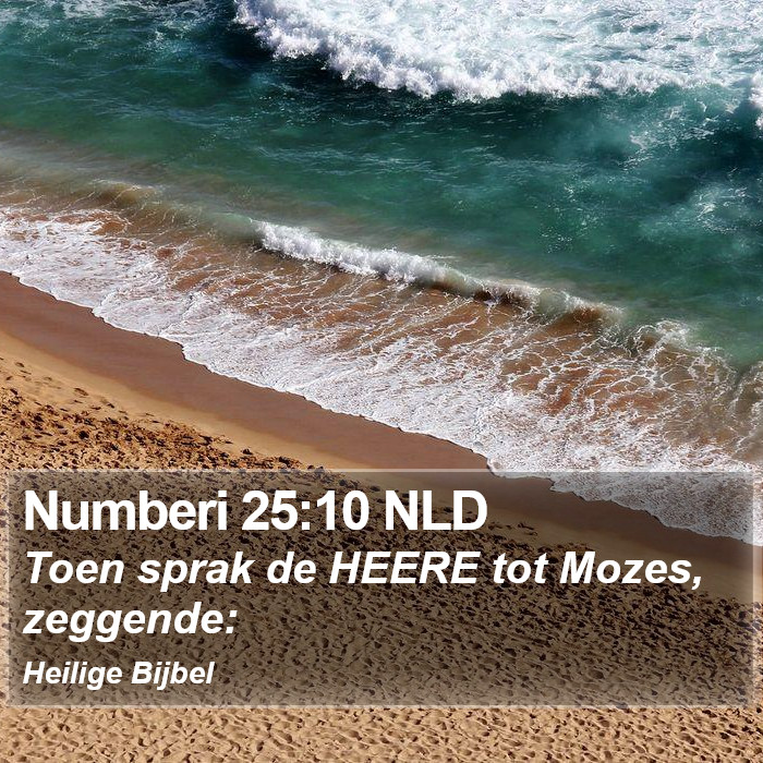 Numberi 25:10 NLD Bible Study