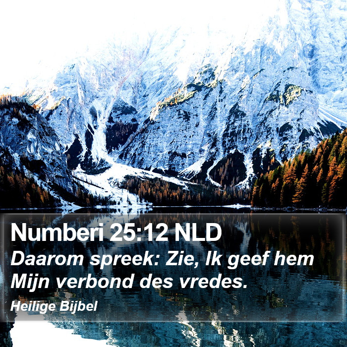 Numberi 25:12 NLD Bible Study