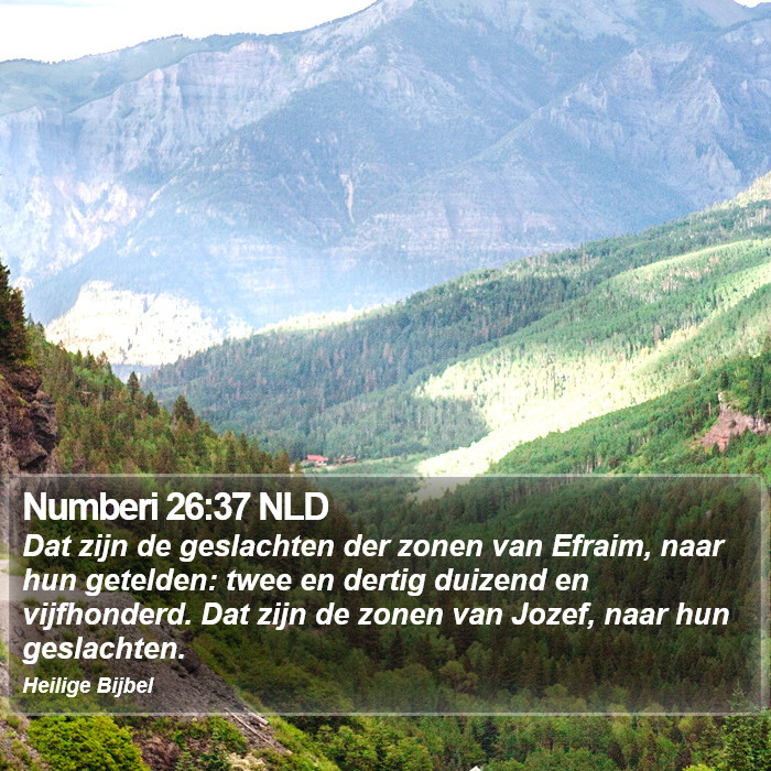 Numberi 26:37 NLD Bible Study