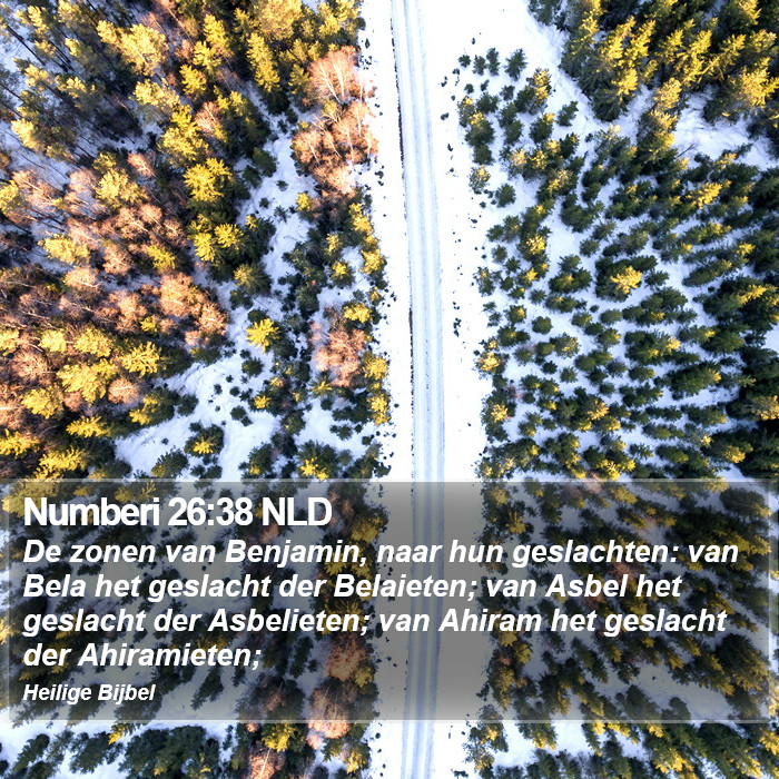 Numberi 26:38 NLD Bible Study