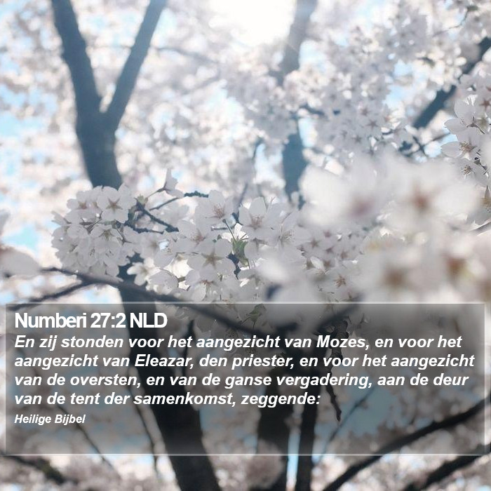 Numberi 27:2 NLD Bible Study