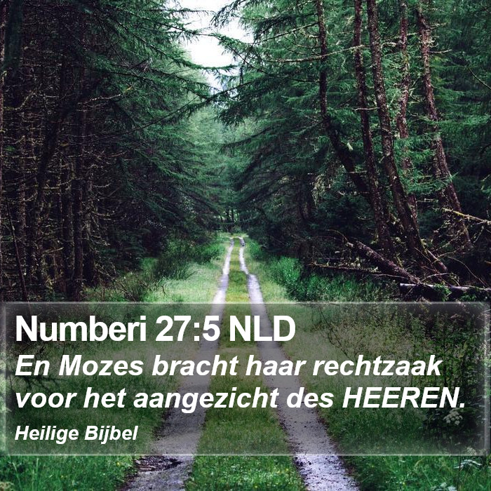 Numberi 27:5 NLD Bible Study