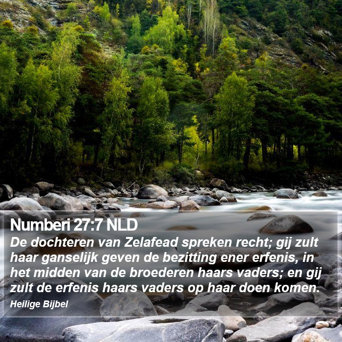 Numberi 27:7 NLD Bible Study