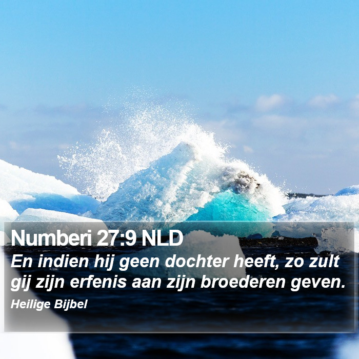 Numberi 27:9 NLD Bible Study