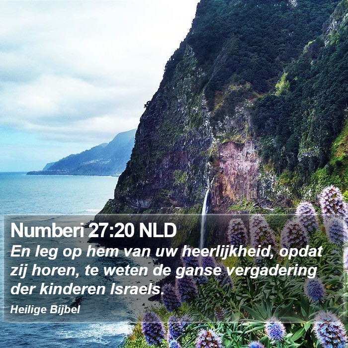 Numberi 27:20 NLD Bible Study