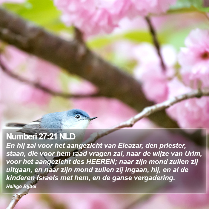 Numberi 27:21 NLD Bible Study