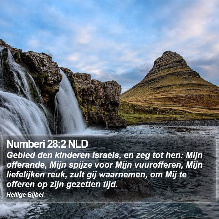 Numberi 28:2 NLD Bible Study