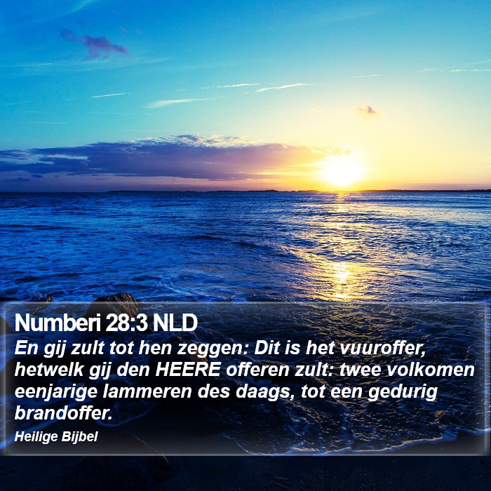 Numberi 28:3 NLD Bible Study