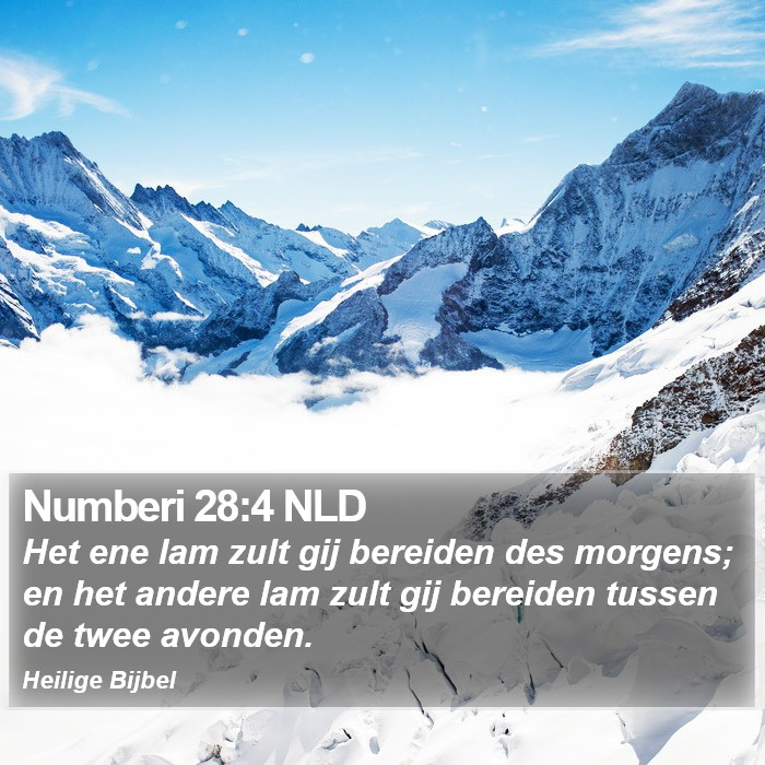 Numberi 28:4 NLD Bible Study