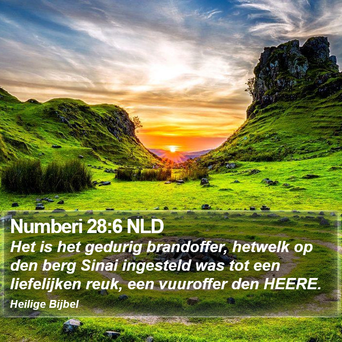 Numberi 28:6 NLD Bible Study