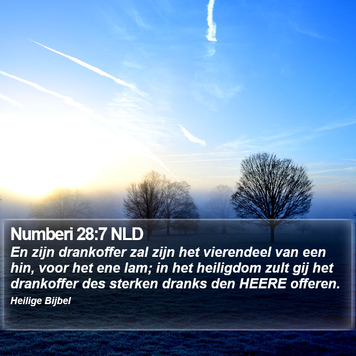 Numberi 28:7 NLD Bible Study