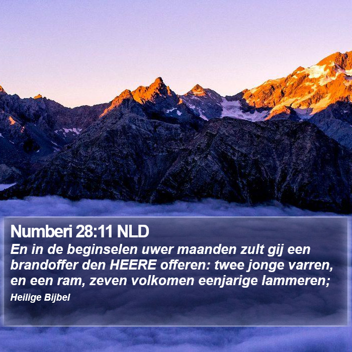 Numberi 28:11 NLD Bible Study