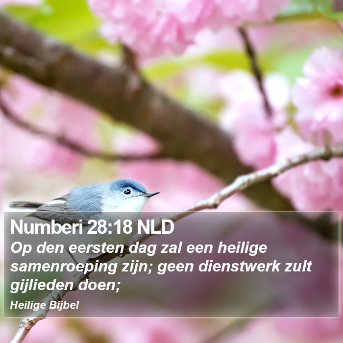 Numberi 28:18 NLD Bible Study