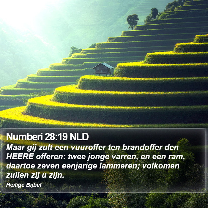 Numberi 28:19 NLD Bible Study