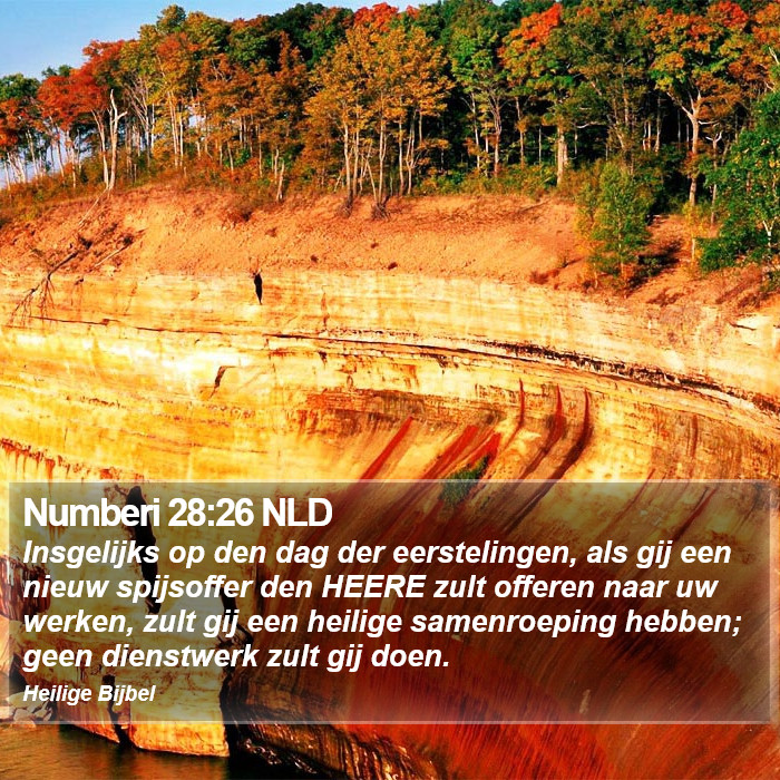 Numberi 28:26 NLD Bible Study