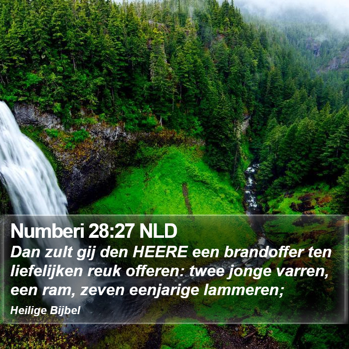 Numberi 28:27 NLD Bible Study