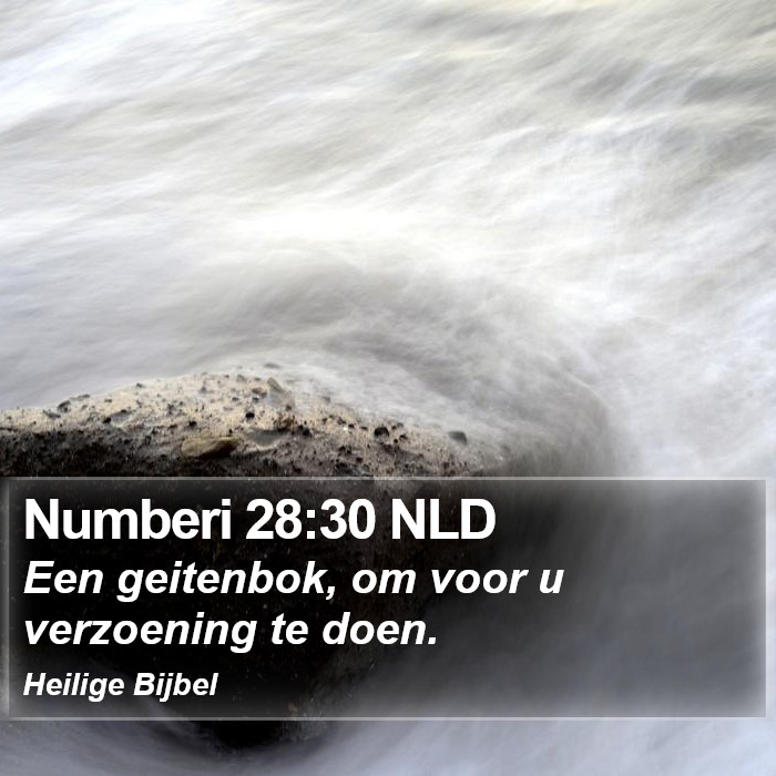 Numberi 28:30 NLD Bible Study