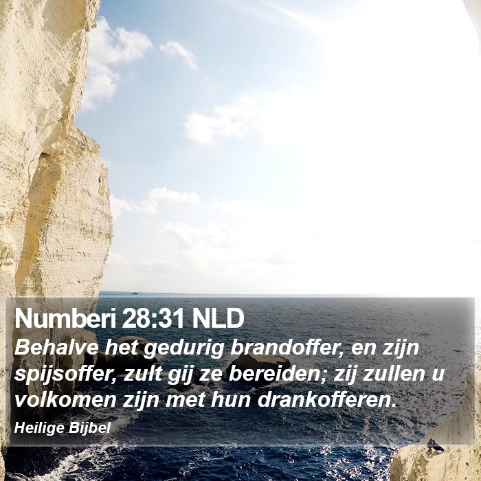 Numberi 28:31 NLD Bible Study