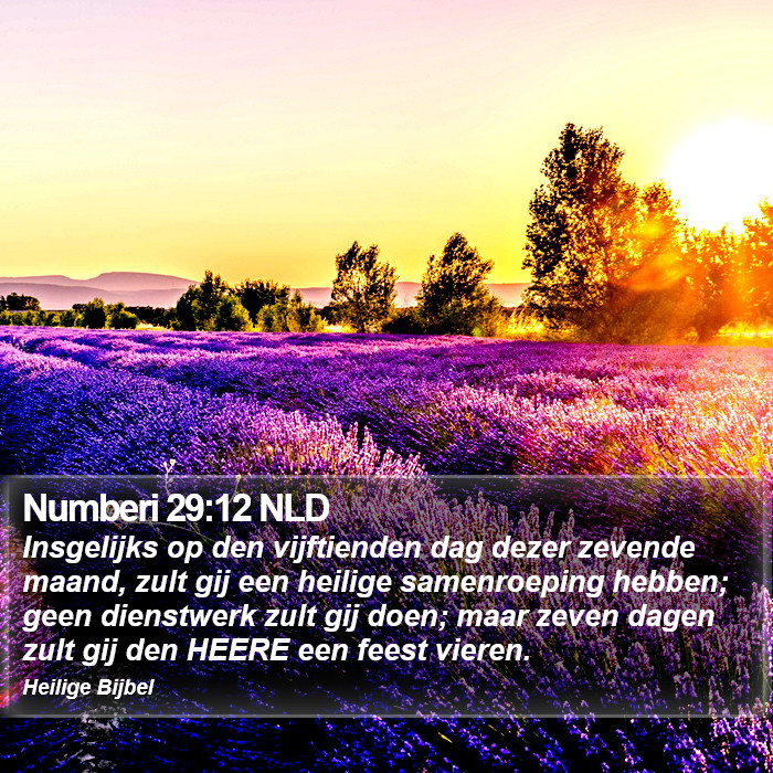 Numberi 29:12 NLD Bible Study