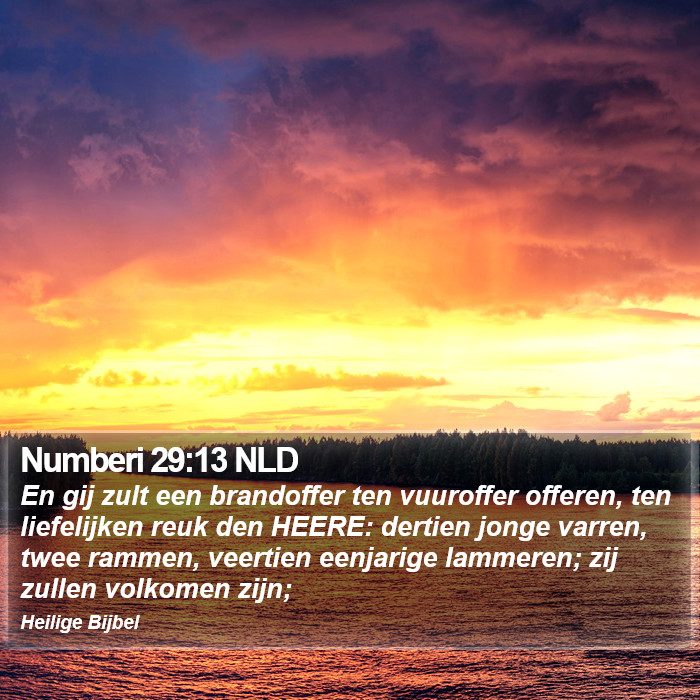 Numberi 29:13 NLD Bible Study