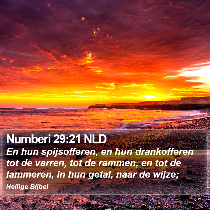 Numberi 29:21 NLD Bible Study