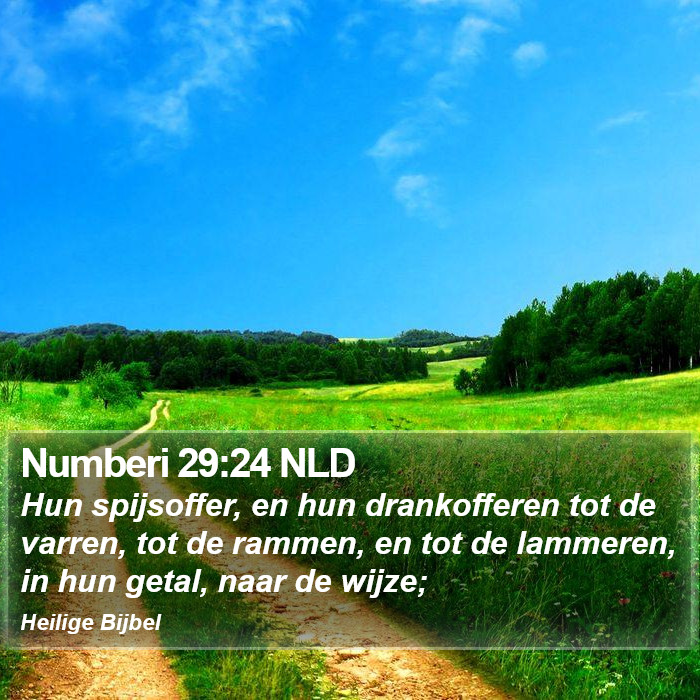 Numberi 29:24 NLD Bible Study