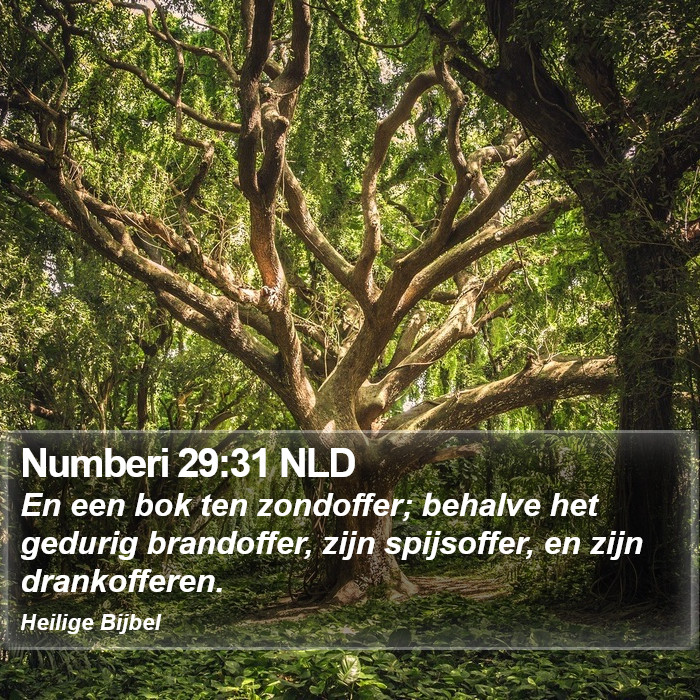 Numberi 29:31 NLD Bible Study