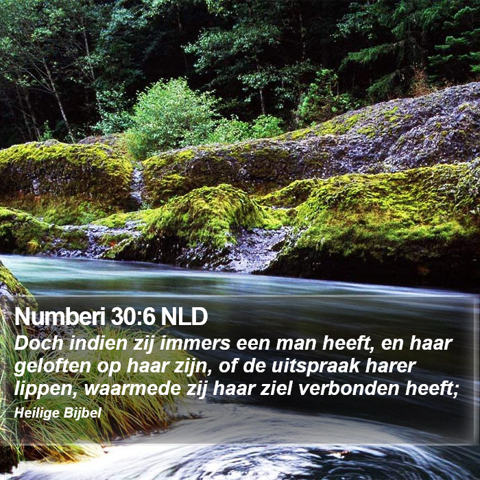 Numberi 30:6 NLD Bible Study