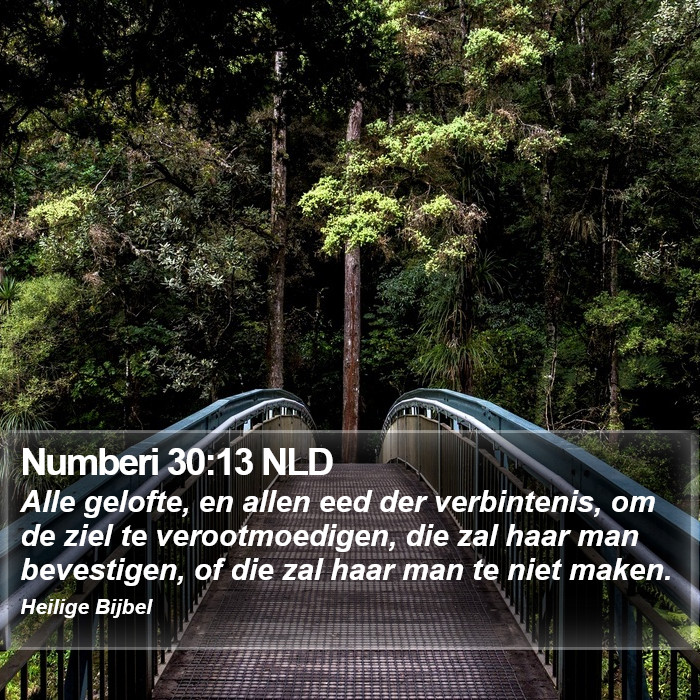 Numberi 30:13 NLD Bible Study