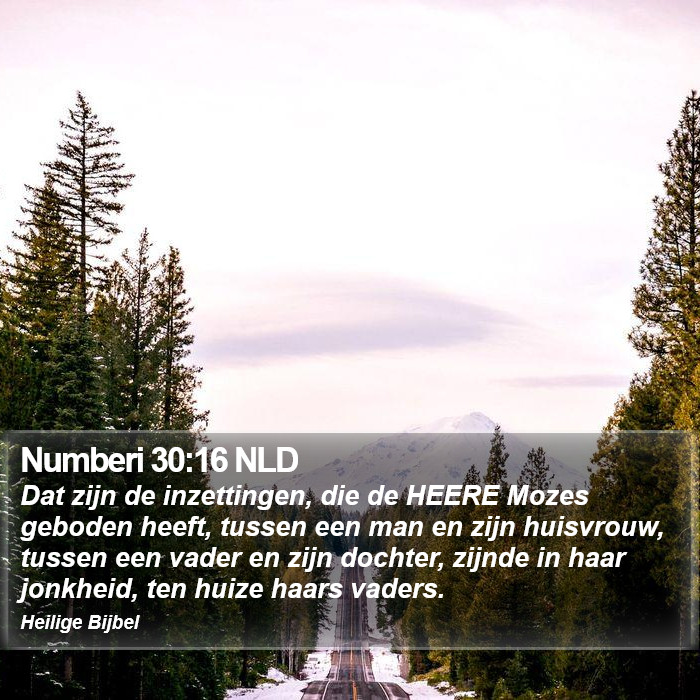 Numberi 30:16 NLD Bible Study