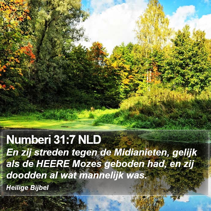 Numberi 31:7 NLD Bible Study