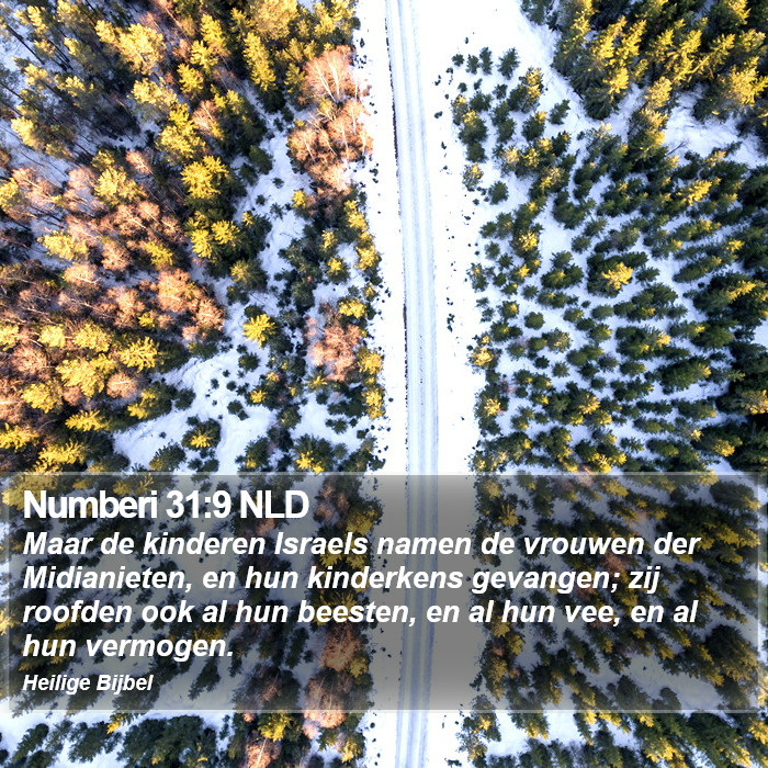 Numberi 31:9 NLD Bible Study