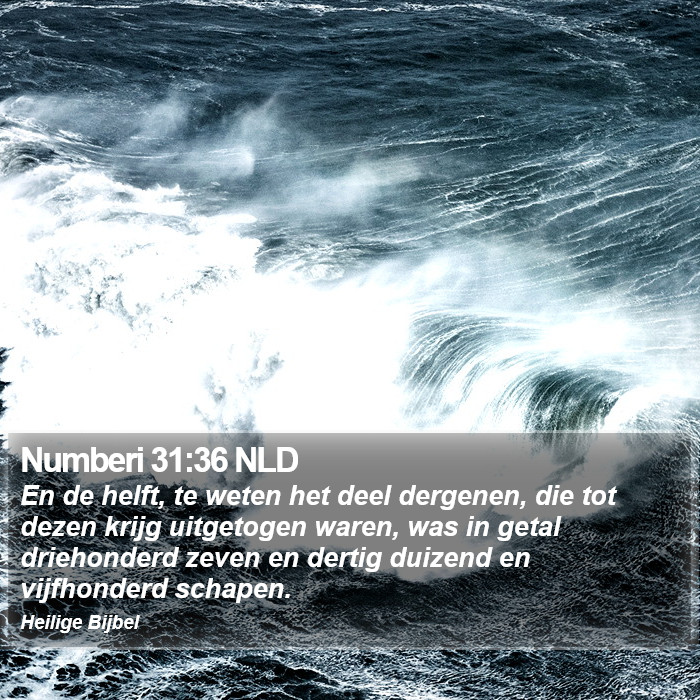 Numberi 31:36 NLD Bible Study