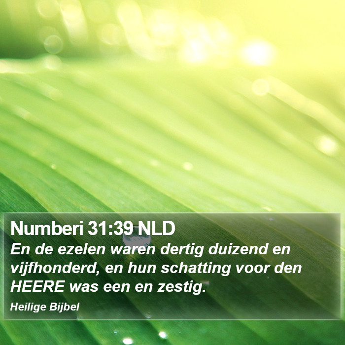 Numberi 31:39 NLD Bible Study