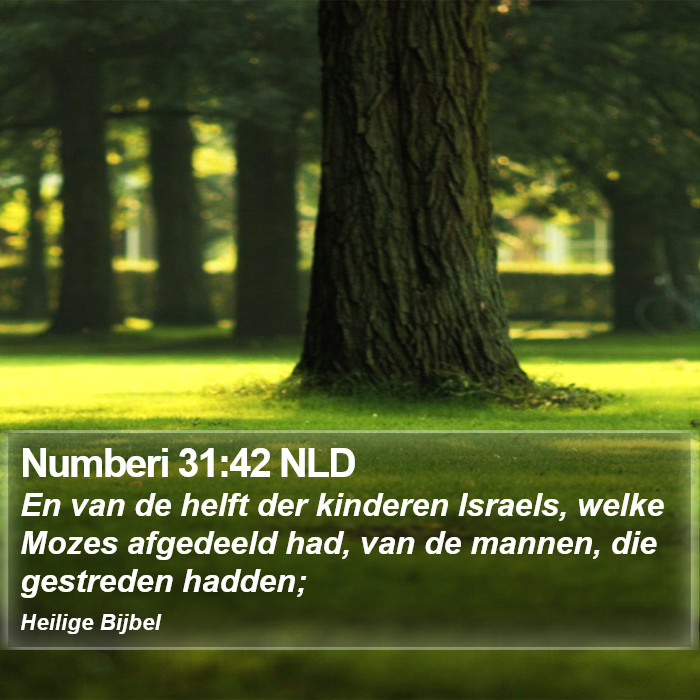Numberi 31:42 NLD Bible Study