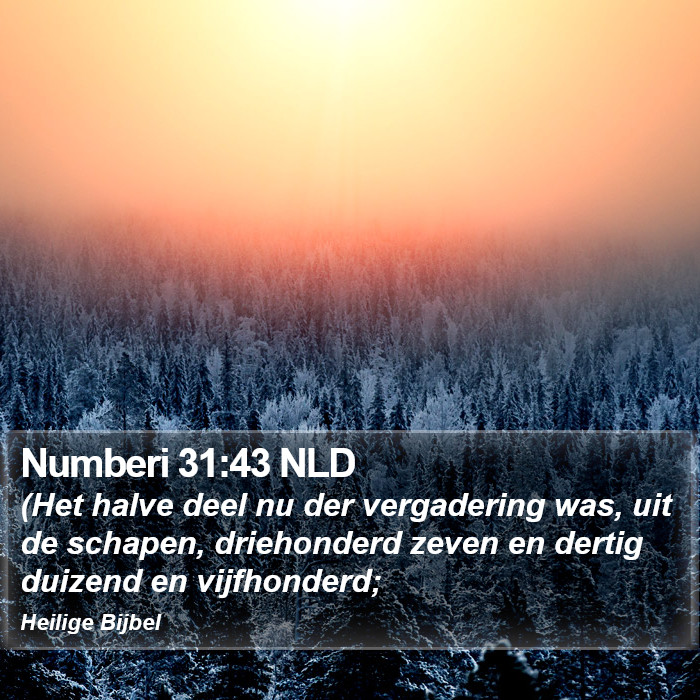 Numberi 31:43 NLD Bible Study
