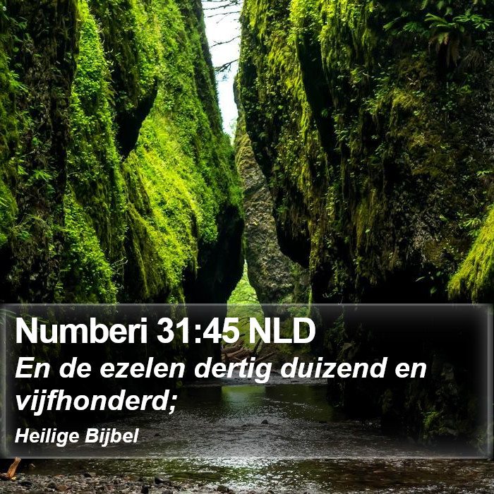 Numberi 31:45 NLD Bible Study