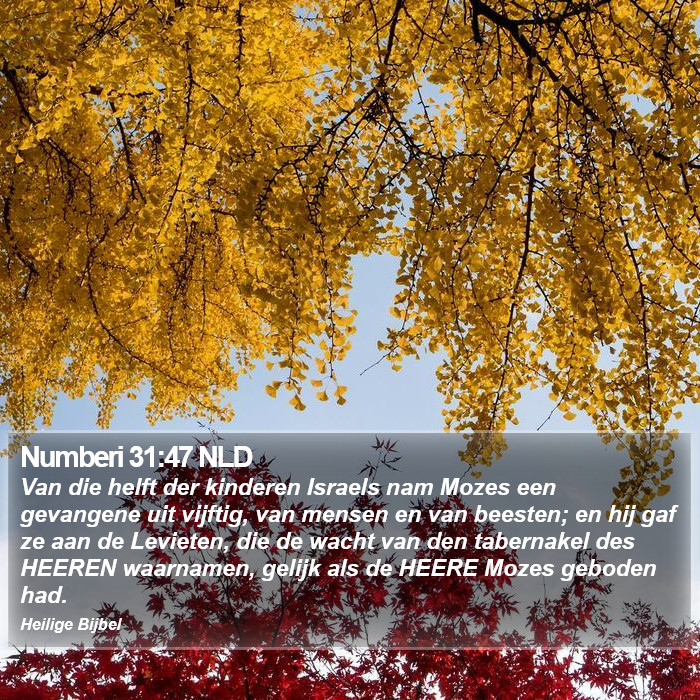 Numberi 31:47 NLD Bible Study