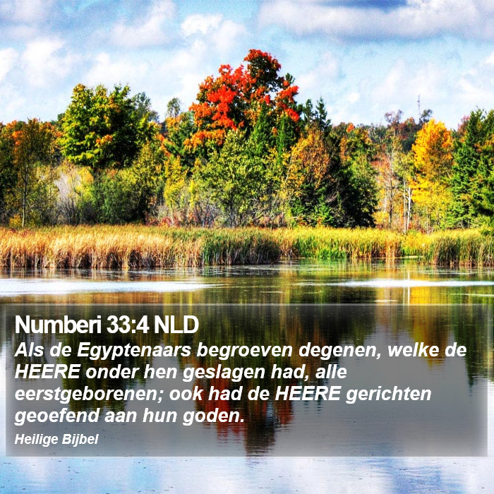 Numberi 33:4 NLD Bible Study