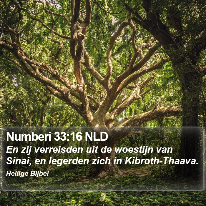 Numberi 33:16 NLD Bible Study