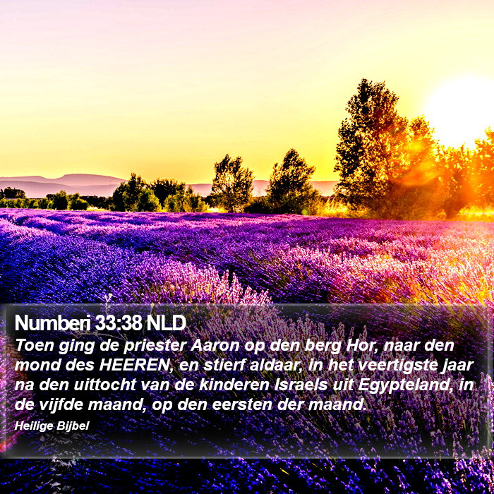 Numberi 33:38 NLD Bible Study