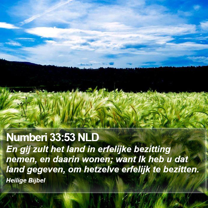 Numberi 33:53 NLD Bible Study