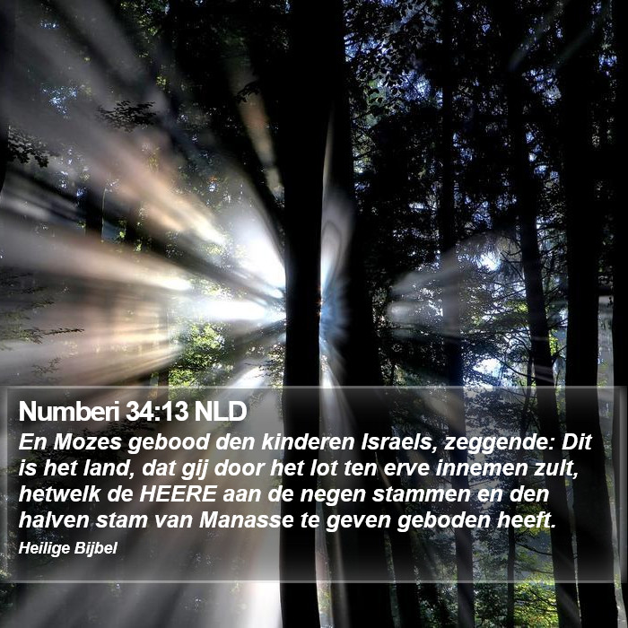 Numberi 34:13 NLD Bible Study