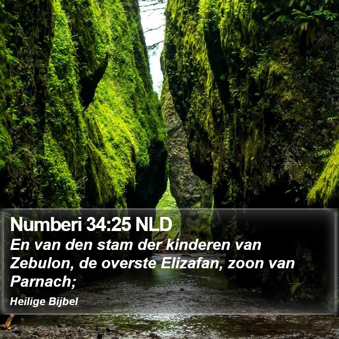 Numberi 34:25 NLD Bible Study