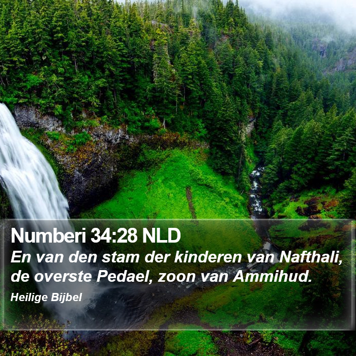 Numberi 34:28 NLD Bible Study