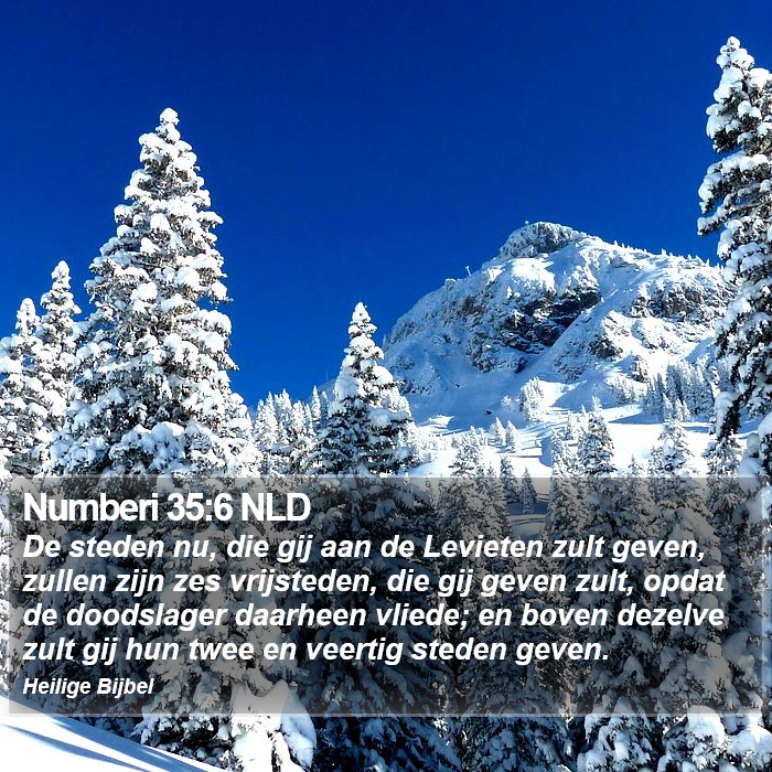 Numberi 35:6 NLD Bible Study
