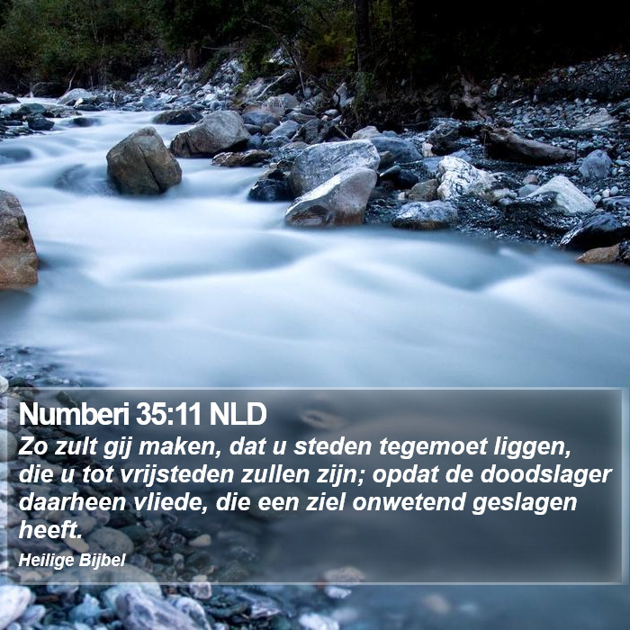 Numberi 35:11 NLD Bible Study